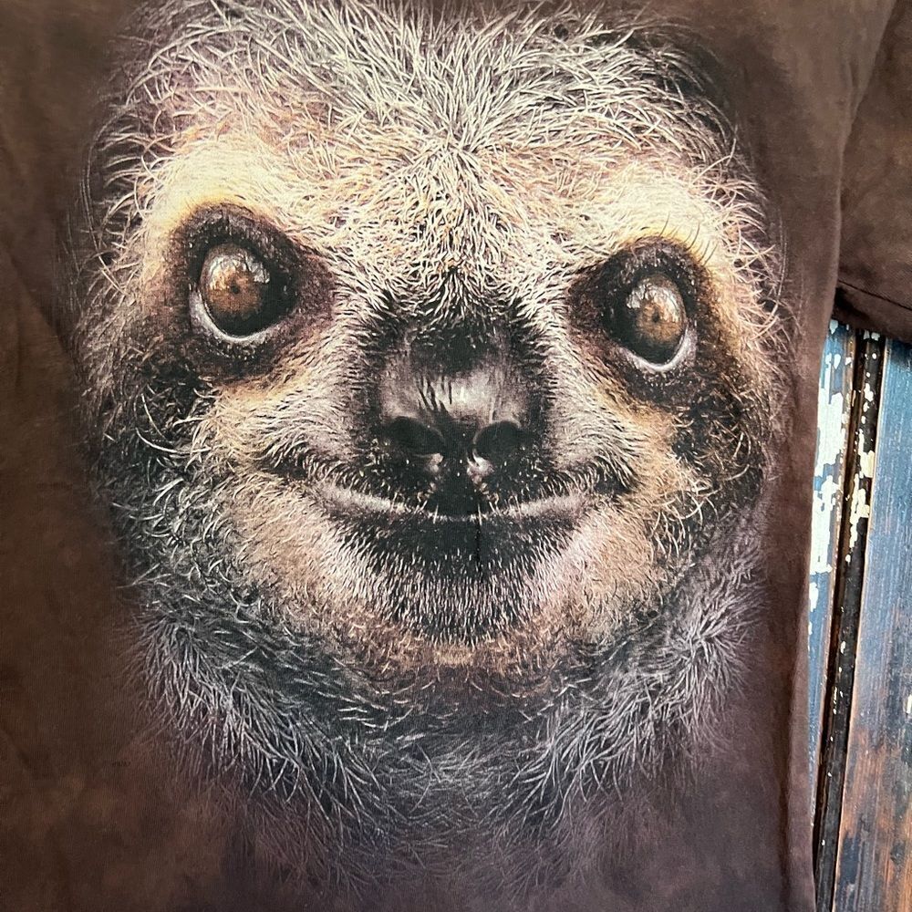 Kids The Mountain Tie Dyed short sleeve cute Sloth T-shirt. Size L youth.